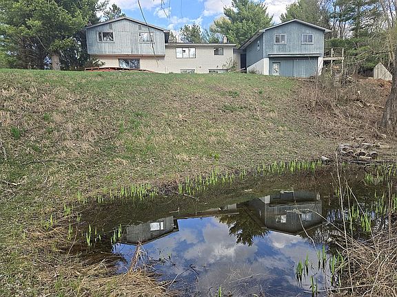 Frog Pond