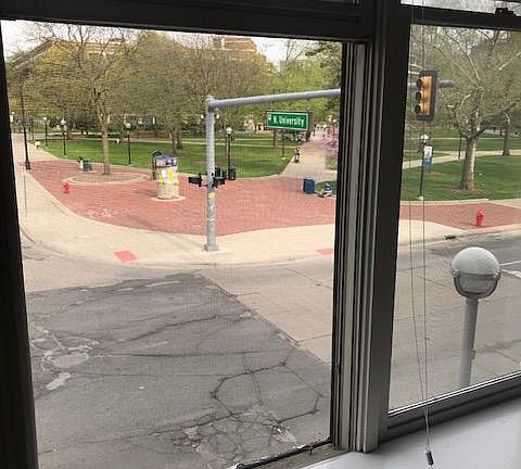 View from Living Room