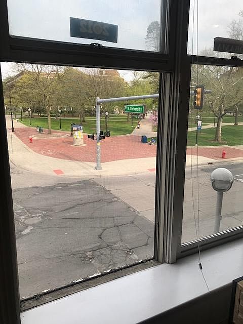 View from Living Room