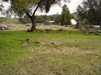 1st image of 31921 Highway 41