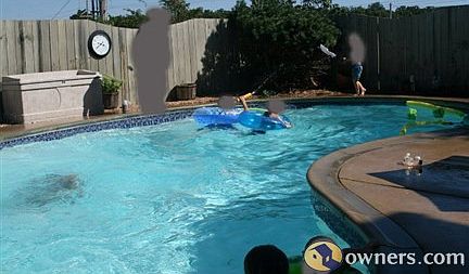 Backyard pool