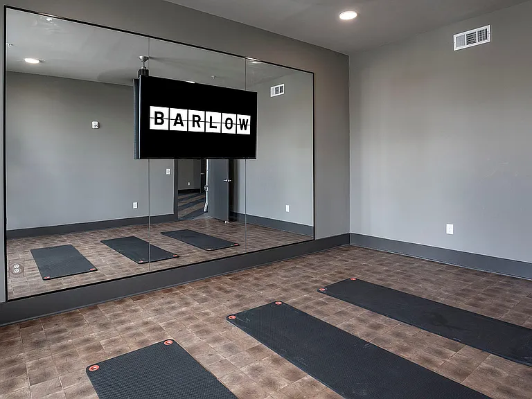 Experience a state-of-the-art fitness studio designed for your home workout needs.