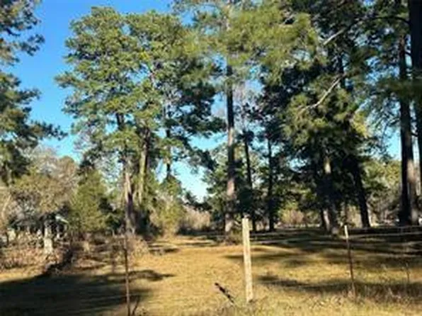 473 Marion Ln, New Waverly, TX 77358