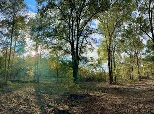 0 Scotland Towns Rd, Mc Rae Helena, GA 31055