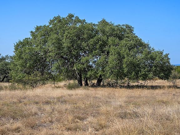 2nd image of 219 Canyon Rd