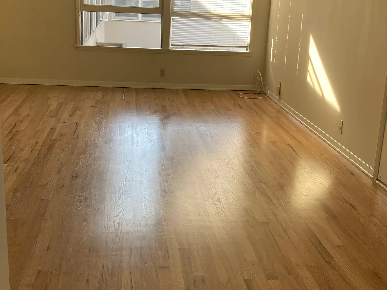 1 bed, $2,000 — Photo 4