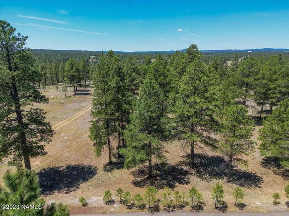 4800 E Gandalf Ln, Flagstaff, AZ 86004