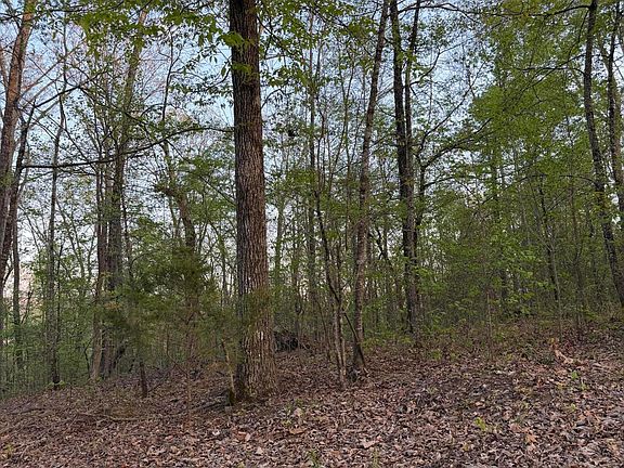 5th image of 0 Henry Rd