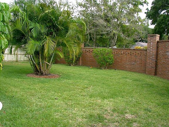 Back yard