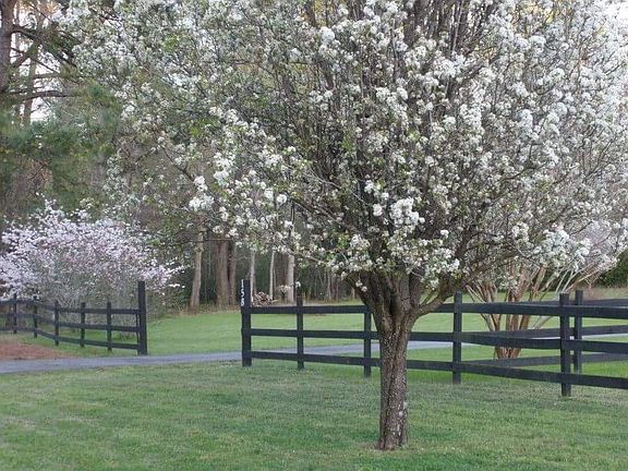 farm entrance in the spring 
