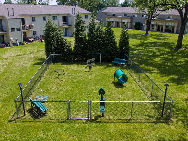 Dog Park