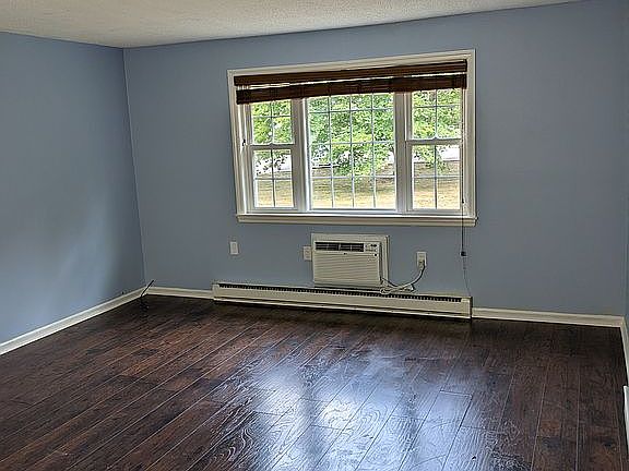 Picture window with blinds