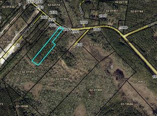 2099 Buck Swamp Rd, Brunswick, GA 31523