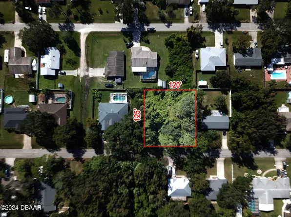 3224 Needle Palm Dr, Edgewater, FL 32141