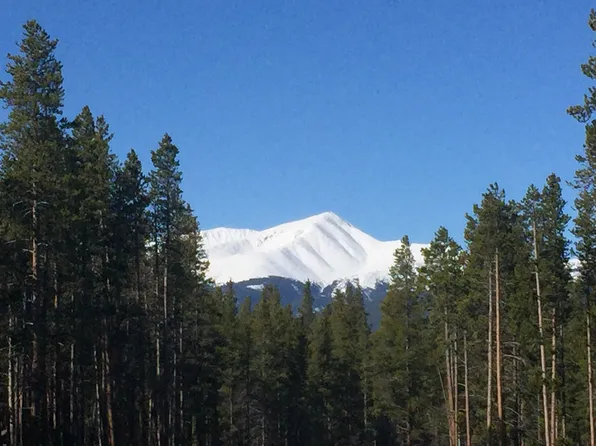 1 Elk Trl, Leadville, CO 80461