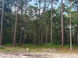 8 4th Ave NE, Steinhatchee, FL 32359