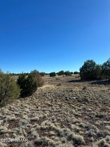 201-29 164 #D, Concho, AZ, 85924