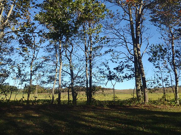 View from Back of House