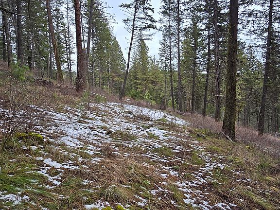 3rd image of Tbd Granite View Dr