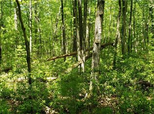 Jefferson Rd, Forestburgh, NY 12777