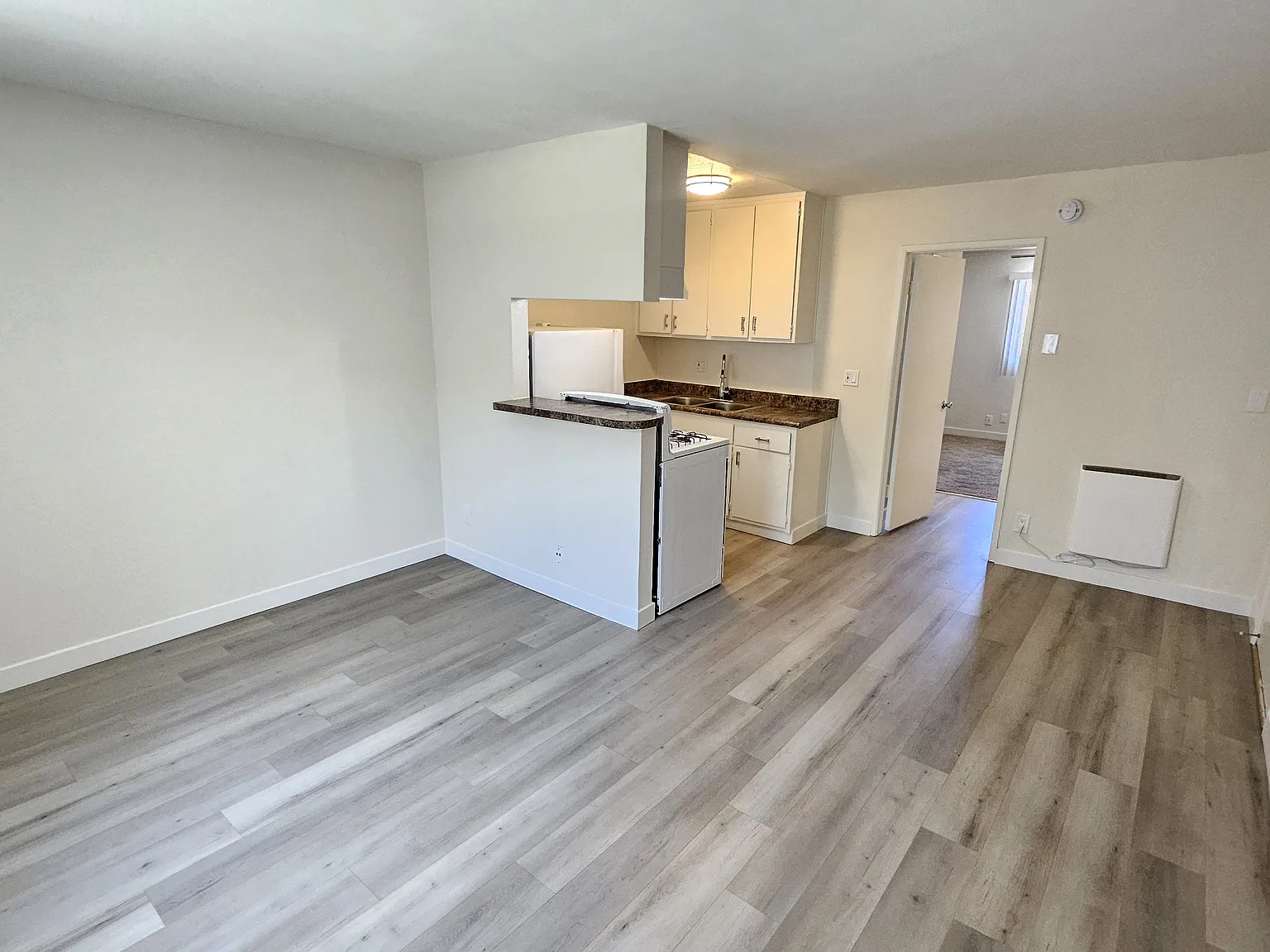 1 bed, 520 sqft, $1,695 — Photo 3