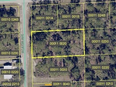 1620 Acacia Ave, Lehigh Acres, FL, 33972