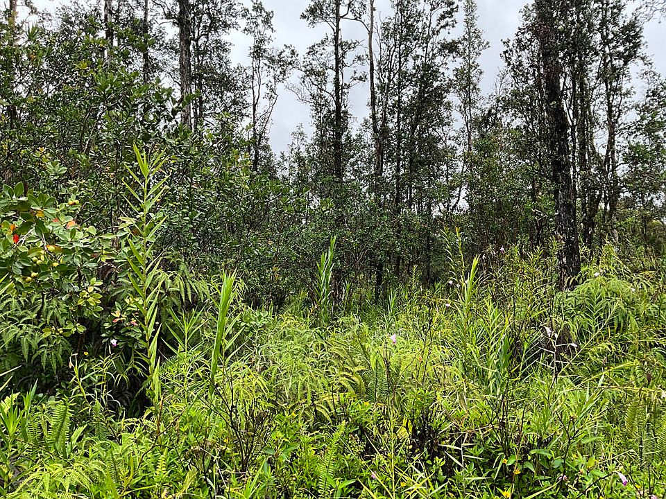 1st image of Bamboo Dr Lot 19