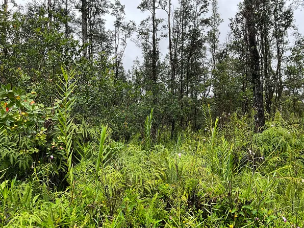Bamboo Dr Lot 19, Pahoa, HI 96778