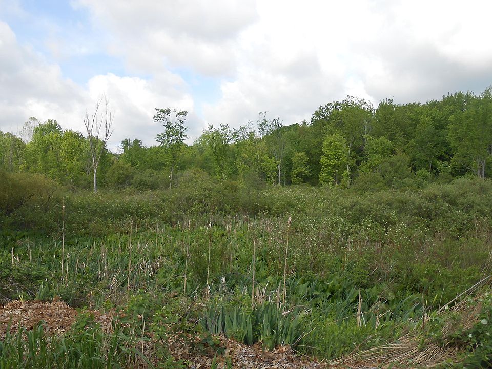 2nd image of Pine Lake Rd