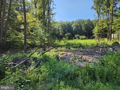 150 Kline Hollow Rd, Liverpool, PA, 17045