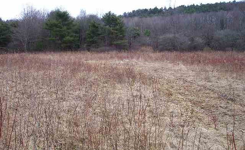 3rd image of 0 COUNTY HIGHWAY 56
