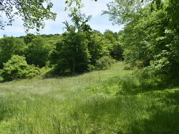 0 Brooks Bend Ln Lot 1 & 2, Gainesboro, TN 38562