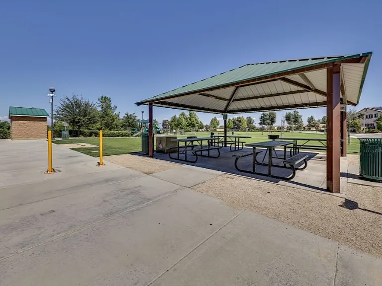 30312 Carob Tree Cir — Photo 53