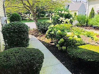 2 bed, 2.5 bath, 1306 sqft, $2,050 — Photo 2