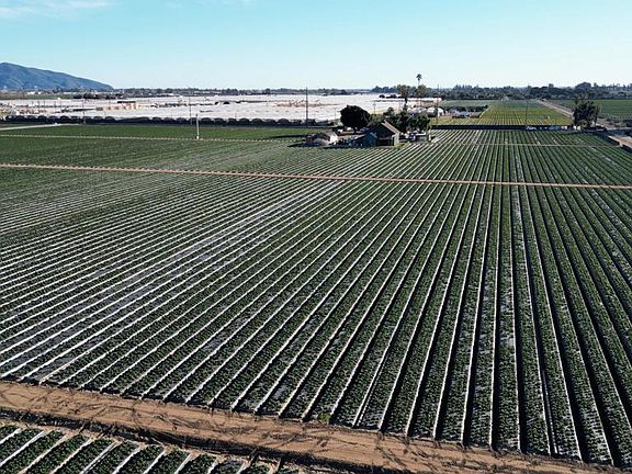 5th image of 2151 E Wooley Rd