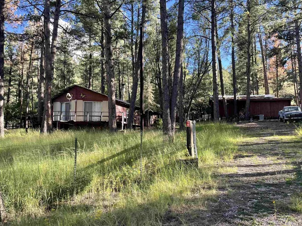 17 Circle Dr, Mayhill, NM 88317