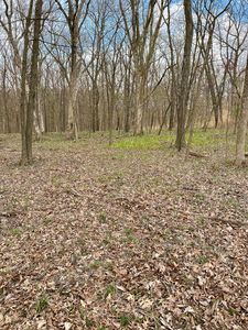 LOT 60 Eagle Chase Dr, Marseilles, IL, 61341