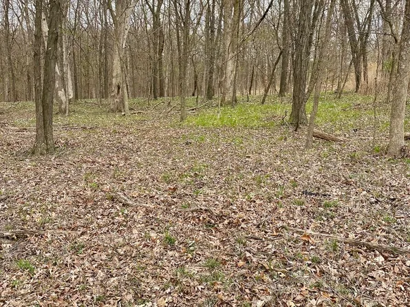 LOT 60 Eagle Chase Dr Lot 60, Marseilles, IL 61341