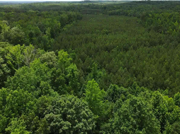 Candy Ln, Stantonville, TN 38379