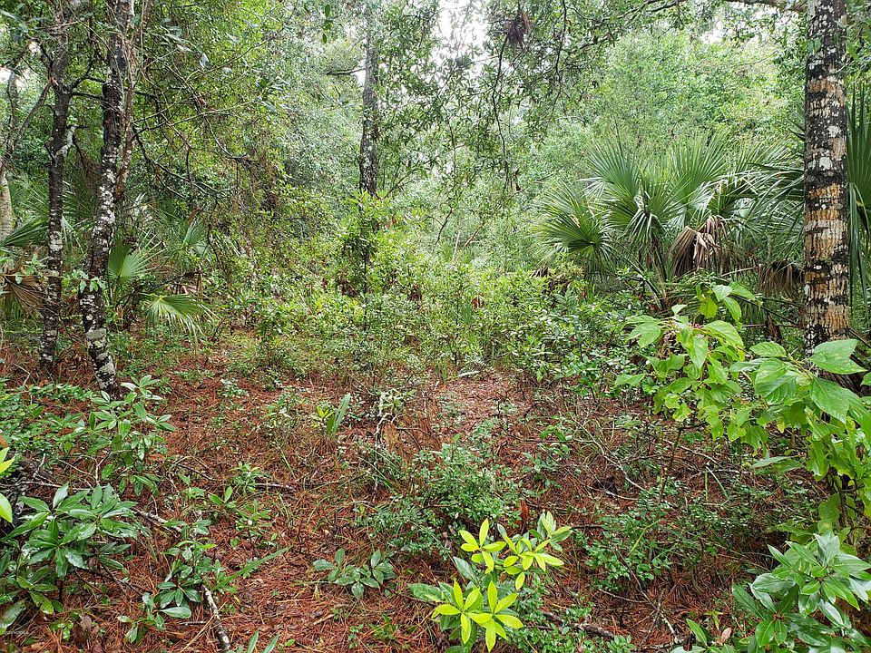 2nd image of 65 Cape Creek Rd
