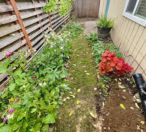 back yard 33'X8" with patio for BBQ