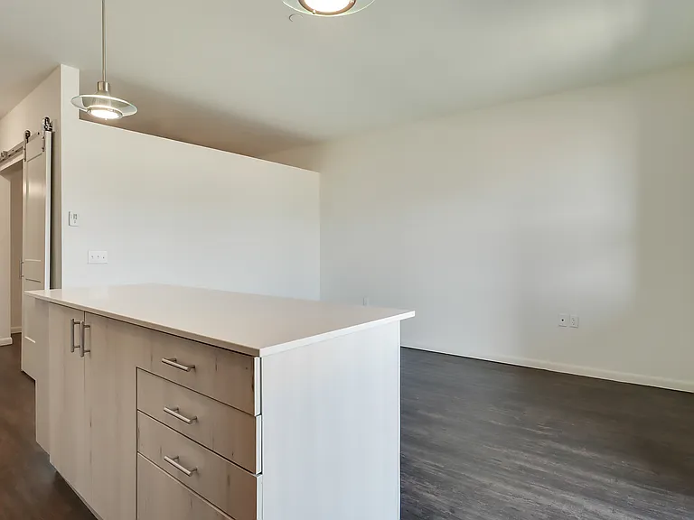 205 Kitchen & Living Room, 203 has same "Rio Grande" layout, finishes & features