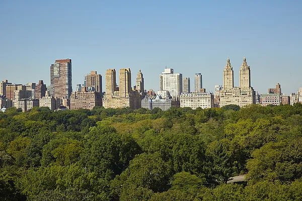 Sold by Stribling | media 28