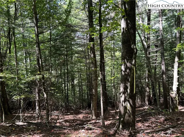 TBD Cherry Drive, Jefferson, NC 28640