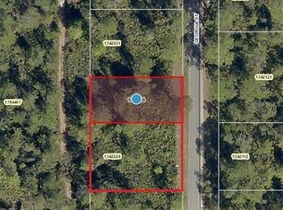Georgia St, Paisley, FL 32767