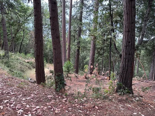 002-1 Roden Ln, Pioneer, CA 95666