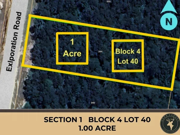 344 Exploration Rd Lot 40, New Waverly, TX 77358