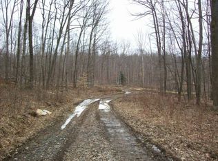 Seneca Hill Rd, Tionesta, PA 16353
