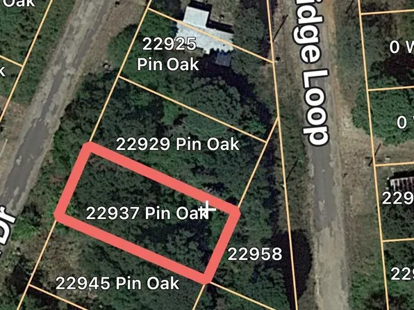 22937 Pin Oak Dr, Flint, TX 75762