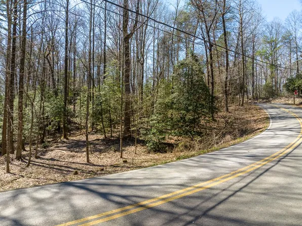 193 Shenendoa Dr, Ellijay, GA 30540